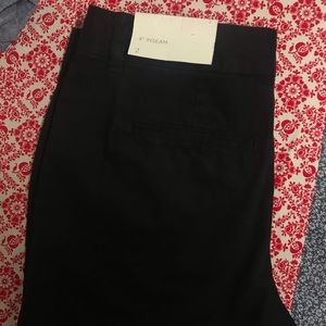 Ann Taylor Loft women’s shorts
